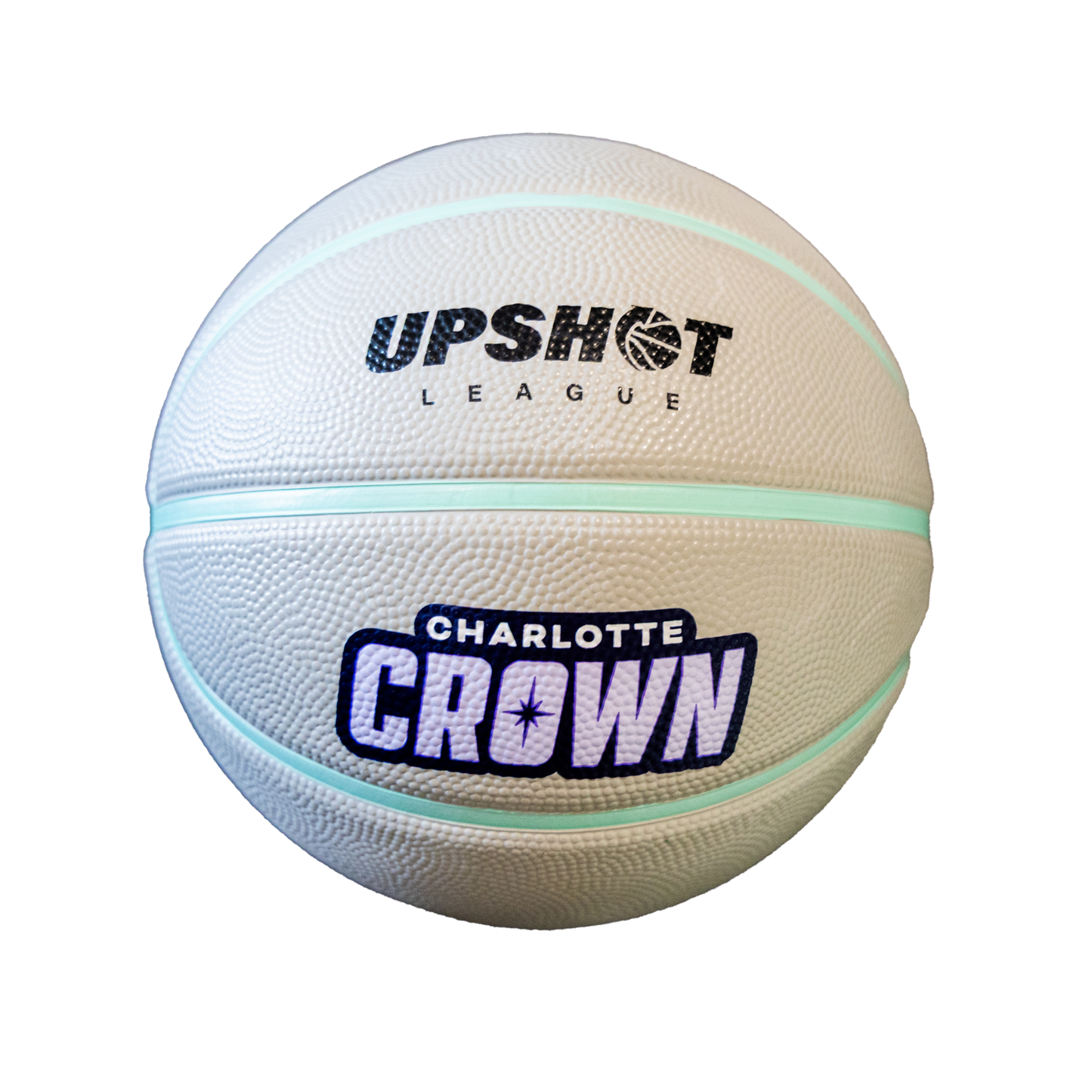 Charlotte Crown 7" Mini Basketball