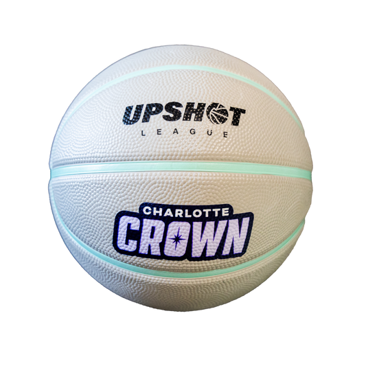 Charlotte Crown 7" Mini Basketball